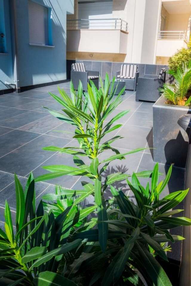 Апартаменты Apartmani Barović Bečići Бечичи-8